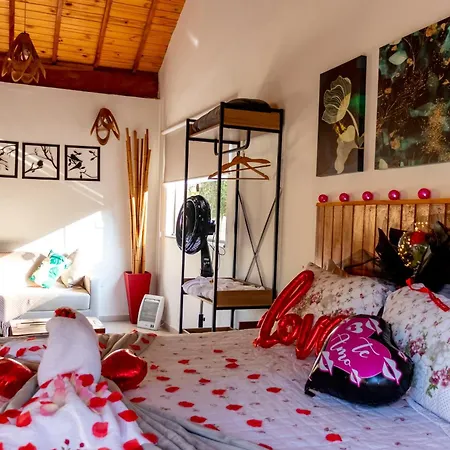 Chale Canto Do Galo 2 - Hidro Da Jacuzzi, Lareira Ecologica, Cozinha Completa, Wi-Fi 80Mbps, Proximo A Comercio Local E Relaxando Ao Som Do Riacho Goncalves Exterior photo